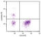 Immunoglobulin Lambda Constant 1 antibody, 99-273, ProSci, Immunohistochemistry frozen image 