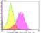 Fibrinogen Gamma Chain antibody, NBP2-76837, Novus Biologicals, Flow Cytometry image 