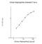 Haptoglobin antibody, NBP2-60642, Novus Biologicals, Enzyme Linked Immunosorbent Assay image 