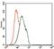 Forkhead Box P1 antibody, GTX60643, GeneTex, Flow Cytometry image 