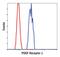 Platelet Derived Growth Factor Receptor Beta antibody, MA5-14851, Invitrogen Antibodies, Flow Cytometry image 