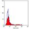 Beta-1,3-Glucuronyltransferase 1 antibody, GTX74868, GeneTex, Flow Cytometry image 