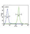 Claudin 16 antibody, abx025713, Abbexa, Flow Cytometry image 