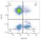 Neural Cell Adhesion Molecule 1 antibody, LS-C46198, Lifespan Biosciences, Flow Cytometry image 