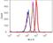 Matrix Metallopeptidase 13 antibody, 701287, Invitrogen Antibodies, Flow Cytometry image 