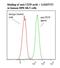 Integrin Subunit Beta 1 antibody, LS-B10361, Lifespan Biosciences, Flow Cytometry image 