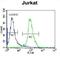 Engulfment And Cell Motility 2 antibody, abx026086, Abbexa, Flow Cytometry image 