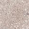 Collagen Type XII Alpha 1 Chain antibody, NBP1-88062, Novus Biologicals, Immunohistochemistry frozen image 