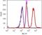 AKT1 Substrate 1 antibody, 701058, Invitrogen Antibodies, Flow Cytometry image 