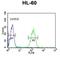 Carbonic Anhydrase 5B antibody, abx033313, Abbexa, Flow Cytometry image 