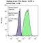 CD1c Molecule antibody, LS-C134215, Lifespan Biosciences, Flow Cytometry image 