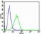 Eukaryotic Translation Elongation Factor 1 Beta 2 antibody, PA5-72169, Invitrogen Antibodies, Flow Cytometry image 