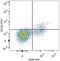 Interleukin 2 Receptor Subunit Beta antibody, LS-C811233, Lifespan Biosciences, Flow Cytometry image 