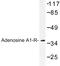 Adenosine receptor A1 antibody, LS-B10504, Lifespan Biosciences, Western Blot image 