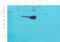 Vesicle Associated Membrane Protein 7 antibody, orb382918, Biorbyt, Western Blot image 