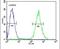 Glutaredoxin 5 antibody, PA5-24956, Invitrogen Antibodies, Flow Cytometry image 