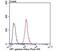 Chromobox 3 antibody, NBP2-75432, Novus Biologicals, Flow Cytometry image 