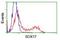 SRY-Box 17 antibody, GTX83580, GeneTex, Flow Cytometry image 