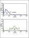 Apurinic/Apyrimidinic Endodeoxyribonuclease 2 antibody, GTX80642, GeneTex, Flow Cytometry image 