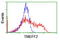 Tomoregulin-2 antibody, LS-C173625, Lifespan Biosciences, Flow Cytometry image 