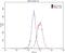 Inositol 1,4,5-Trisphosphate Receptor Type 1 antibody, 19962-1-AP, Proteintech Group, Flow Cytometry image 