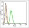 Solute Carrier Family 12 Member 5 antibody, orb2808, Biorbyt, Flow Cytometry image 