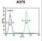 ADP Ribosylation Factor Like GTPase 8A antibody, LS-C156496, Lifespan Biosciences, Flow Cytometry image 
