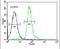 Ras Related GTP Binding D antibody, PA5-24881, Invitrogen Antibodies, Flow Cytometry image 