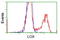 Protein-lysine 6-oxidase antibody, LS-C114931, Lifespan Biosciences, Flow Cytometry image 