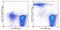 Ly76 antibody, 45-5921-82, Invitrogen Antibodies, Flow Cytometry image 