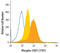 Signal Transducer And Activator Of Transcription 1 antibody, AF2894, R&D Systems, Flow Cytometry image 