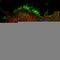 Taspase 1 antibody, HPA030824, Atlas Antibodies, Immunocytochemistry image 