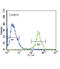 Fyn Related Src Family Tyrosine Kinase antibody, abx033633, Abbexa, Flow Cytometry image 