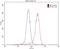 Cholinergic Receptor Nicotinic Alpha 7 Subunit antibody, 21379-1-AP, Proteintech Group, Flow Cytometry image 