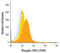 Signal Transducer And Activator Of Transcription 2 antibody, AF2890, R&D Systems, Flow Cytometry image 