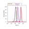 Eukaryotic Translation Initiation Factor 2 Subunit Alpha antibody, AHO1182, Invitrogen Antibodies, Flow Cytometry image 