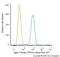 alpha-Tubulin antibody, NB100-690AF647, Novus Biologicals, Flow Cytometry image 