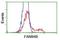 LRAT Domain Containing 2 antibody, NBP2-03263, Novus Biologicals, Flow Cytometry image 