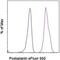 Podoplanin antibody, 50-5381-80, Invitrogen Antibodies, Flow Cytometry image 