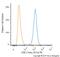 Glycogen Synthase Kinase 3 Beta antibody, NBP1-47470, Novus Biologicals, Flow Cytometry image 