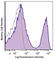 T Cell Receptor Beta Variable 7-9 antibody, 109229, BioLegend, Flow Cytometry image 