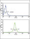 Decorin antibody, LS-C99324, Lifespan Biosciences, Flow Cytometry image 