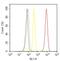 Heat Shock Protein 90 Alpha Family Class B Member 1 antibody, 37-9400, Invitrogen Antibodies, Flow Cytometry image 