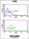 Hemopexin antibody, 62-383, ProSci, Flow Cytometry image 