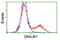 DnaJ Heat Shock Protein Family (Hsp40) Member B1 antibody, LS-C172645, Lifespan Biosciences, Flow Cytometry image 