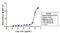 Ribosomal Protein S6 Kinase B2 antibody, 710285, Invitrogen Antibodies, Enzyme Linked Immunosorbent Assay image 