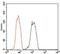 Dynactin Subunit 4 antibody, MA5-17065, Invitrogen Antibodies, Flow Cytometry image 
