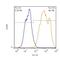 Proteasome 26S Subunit, Non-ATPase 10 antibody, GTX48519, GeneTex, Flow Cytometry image 