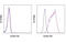 ATP Binding Cassette Subfamily B Member 1 antibody, MBS833355, MyBioSource, Flow Cytometry image 