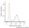 Heat Shock Protein Family B (Small) Member 1 antibody, MAB9355, Novus Biologicals, Flow Cytometry image 